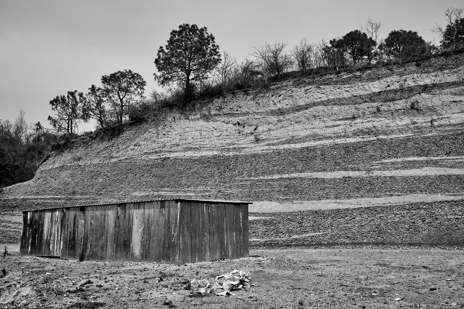 Gallery 20